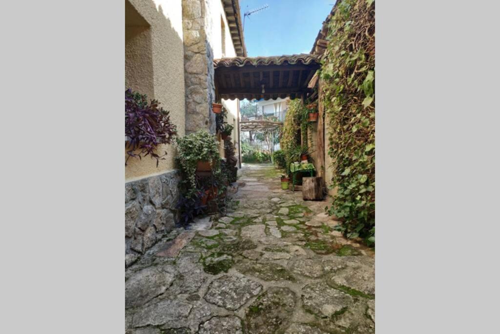 La Parra *